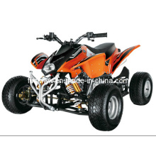 110 утилиты/125cc мотоцикла участвуя в гонке ATV